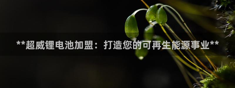 凯时官网联系方式：**超威锂电池加盟：打造您的可再生能源事业**