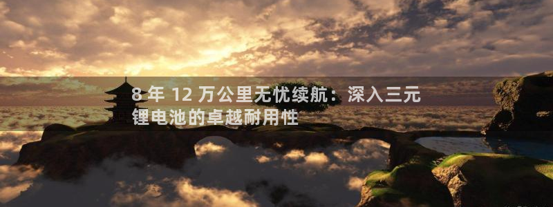 尊龙集团官网：8 年 12 万公里无忧续航：深入三元
锂电池的卓越耐用性