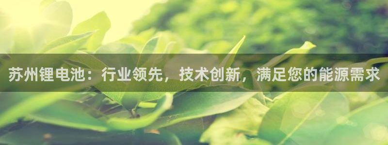 尊龙手机客户端app：苏州锂电池：行业领先，技术创新，满足您的能源需求