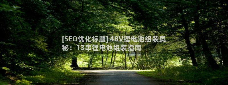 尊龙集团有限公司官网地址：[SEO优化标题] 48V锂电池组装奥
秘：13串锂电池组装指南