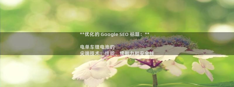 凯时登录界面：**优化的 Google 